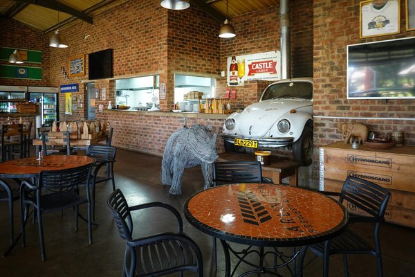 Découvrez les super-aliments bio pour un bien-être durable !